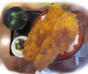 メガわらじかつ丼