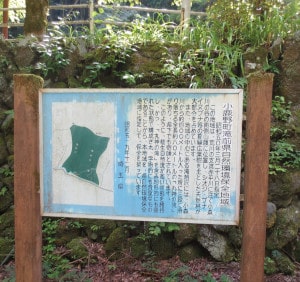 mega-waraji 丸神の滝