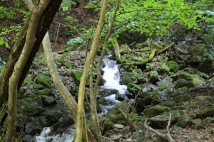 mega-waraji 丸神の滝