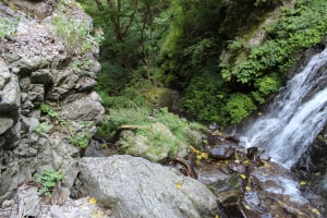 mega-waraji 丸神の滝