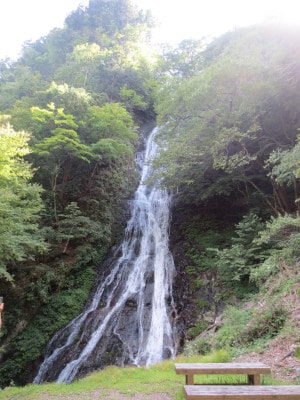 mega-waraji 丸神の滝