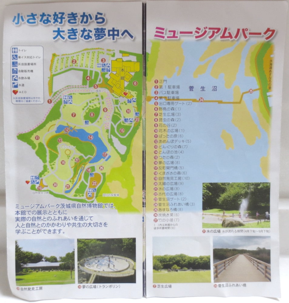 茨城県自然博物館