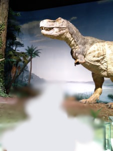 茨城県自然博物館