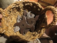 忍者体験スポット